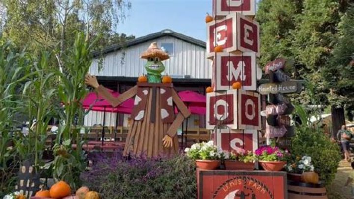 Fall fun awaits at Lemos Farm in Half Moon Bay ABC7 San Francisco