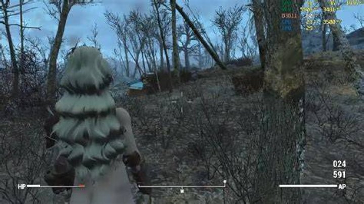 fallout4_nude_mod