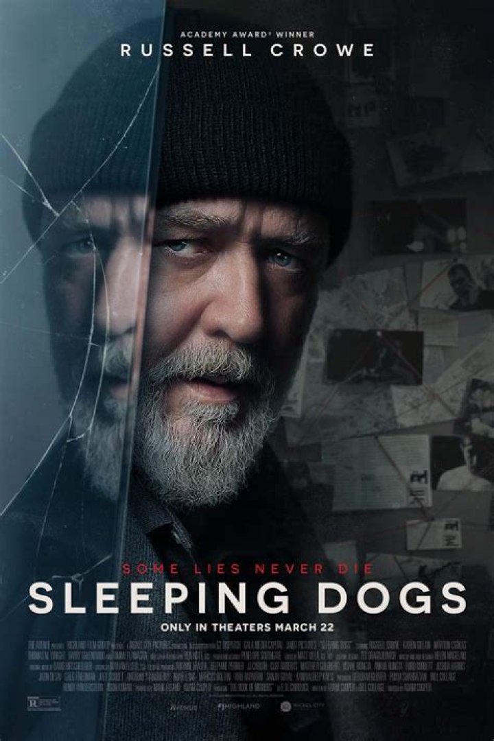 Fan Casting Brie Larson as Amanda Cartwright in Sleeping Dogs on myCast