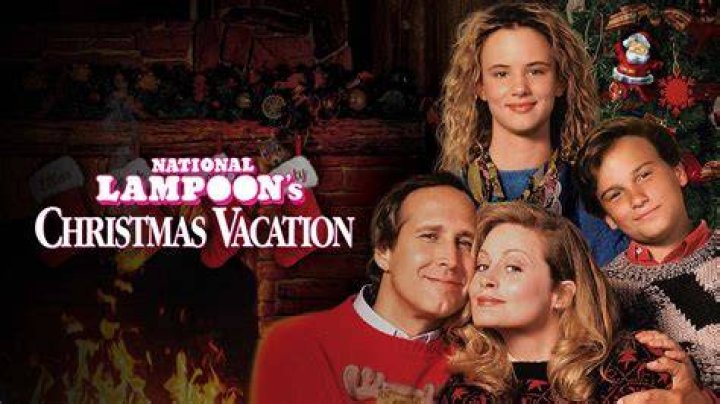 Fan Casting Johnny Galecki as Rusty Griswold in National Lampoon's Christmas Vacation on myCast