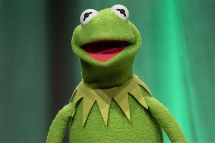 Fan Casting Kermit the Frog as Green in Characters By Color, Sort With Me! on myCast