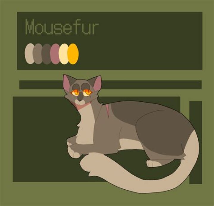Fan Casting Mousefur (Warrior Cats) as Aro in CANON Queer Characters on myCast