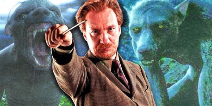 Fan Casting Nicholas Hoult as Remus Lupin in Harry Potter on myCast