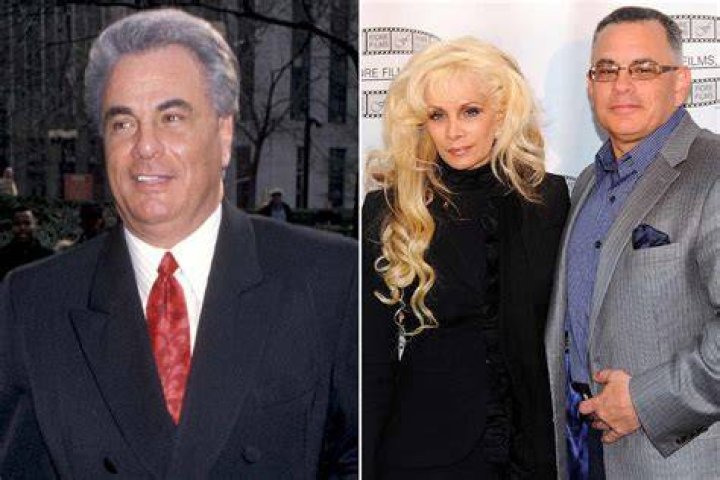Fan Casting Ray Liotta as John Gotti in Bless of Change on myCast