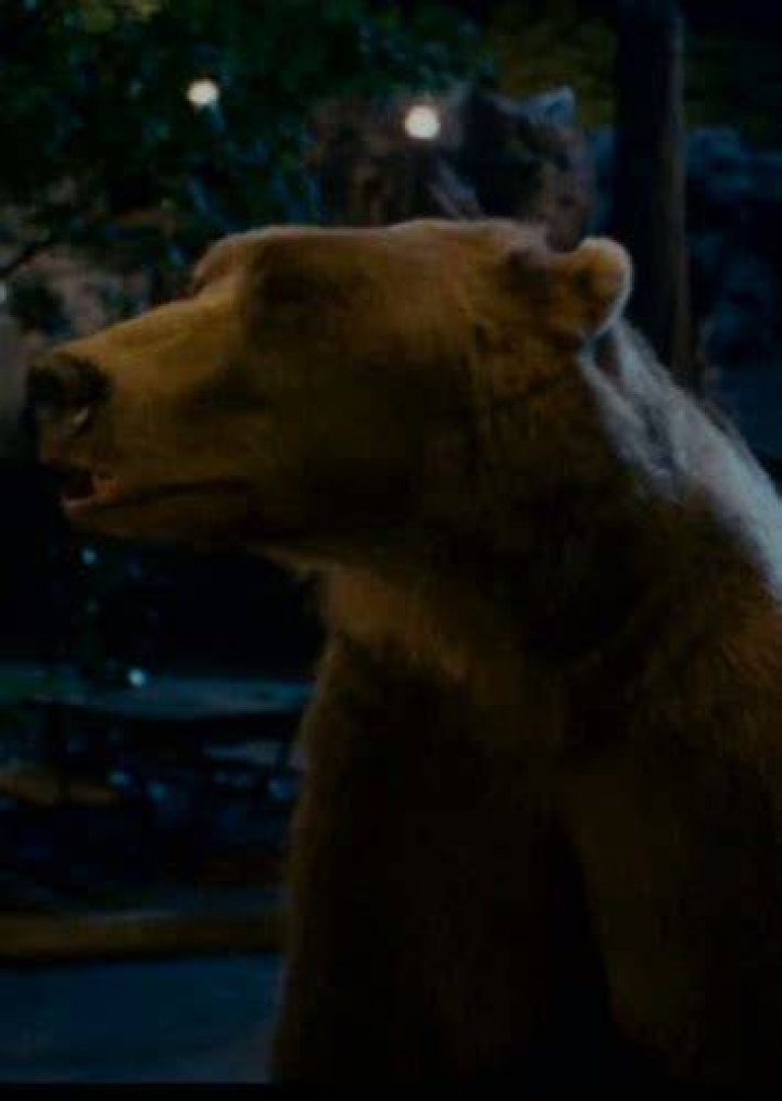 Fan Casting Vince Vaughn as Jerome the Bear in ZooKeeper (Remake) on myCast