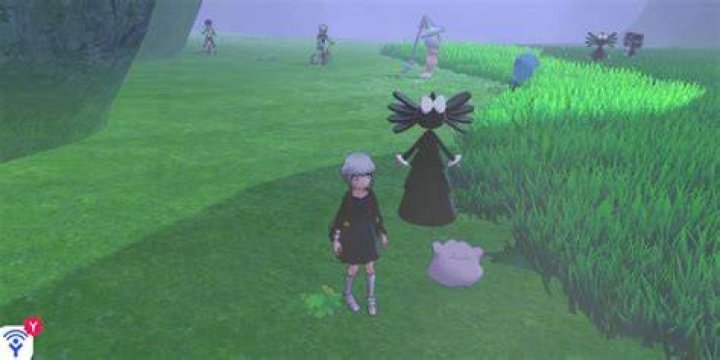 Fastest Way to Obtain A Foreign Ditto
