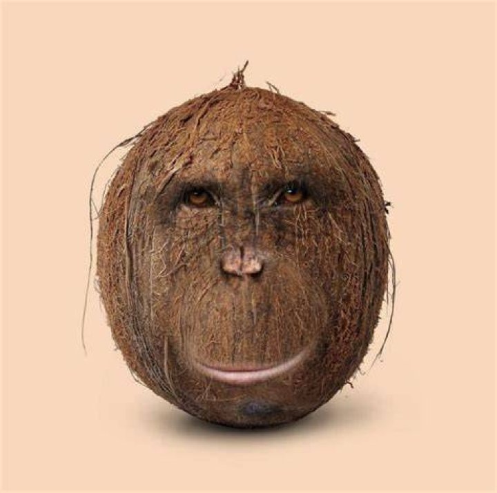 Find an Actor to Play Ned in Passion of Coconut Head on myCast