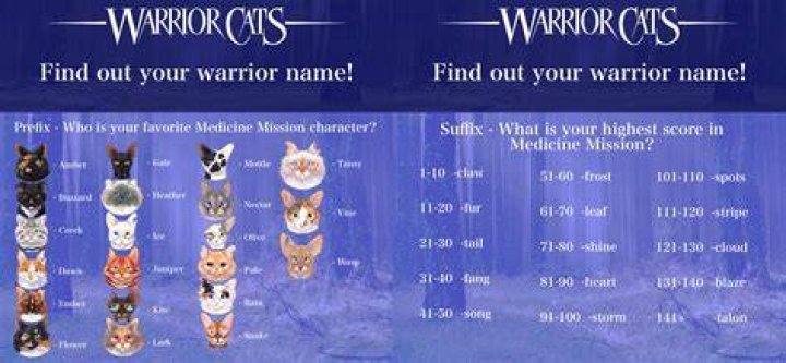 Find out your Warrior Cats name! Warrior Cats Forums