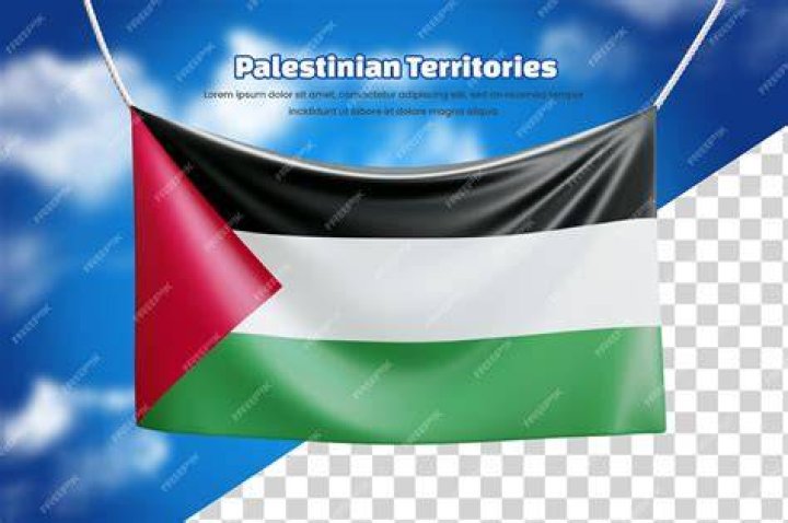 بوستات كلمات أنقذوا حي الشيخ جراح 2024 صور عن حي الشيخ جراح Flag of Palestinian Territories