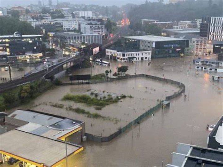 Flooding at Auckland Domain. Photo / Brett Phibbs