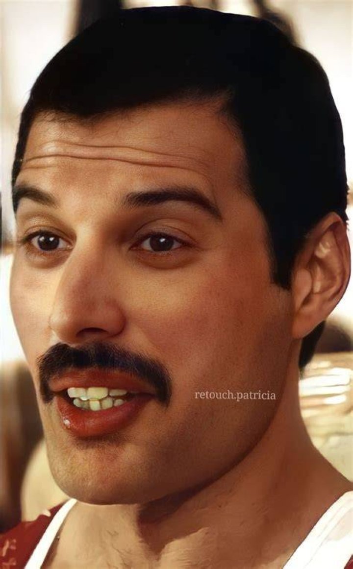 Freddie Mercury during a press conference for the launch of Queen's album, Jazz (L). The artist in Copenhagen, Denmark (R) Freddie Mercury during a press conference for the launch of Queen's album, Jazz (L). The artist in Copenhagen, Denmark (R)