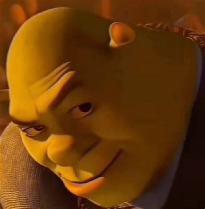 Funny meme with Shrek as Thanos.