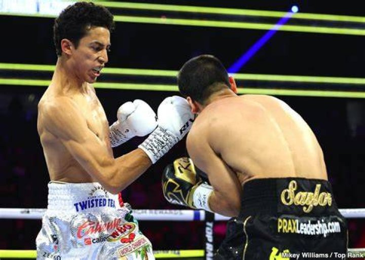 Gabriel Gollaz Valenzuela vs. Steve Spark Stats: Age, Height, Weight, Reach, Net
Worth, Record, and More