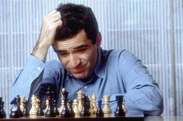 Garry Kasparov net worth