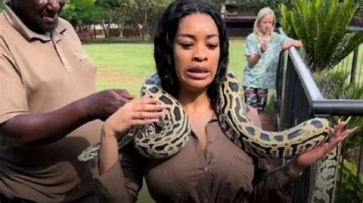 Gauteng Woman’s Snake Encounter at Animal Sanctuary Goes TikTok Viral, Mzansi Amused by Her Panic