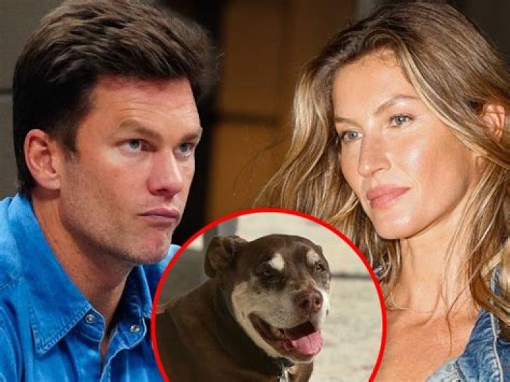 Gisele Bündchen and Tom Brady Mourn Death of Family Dog