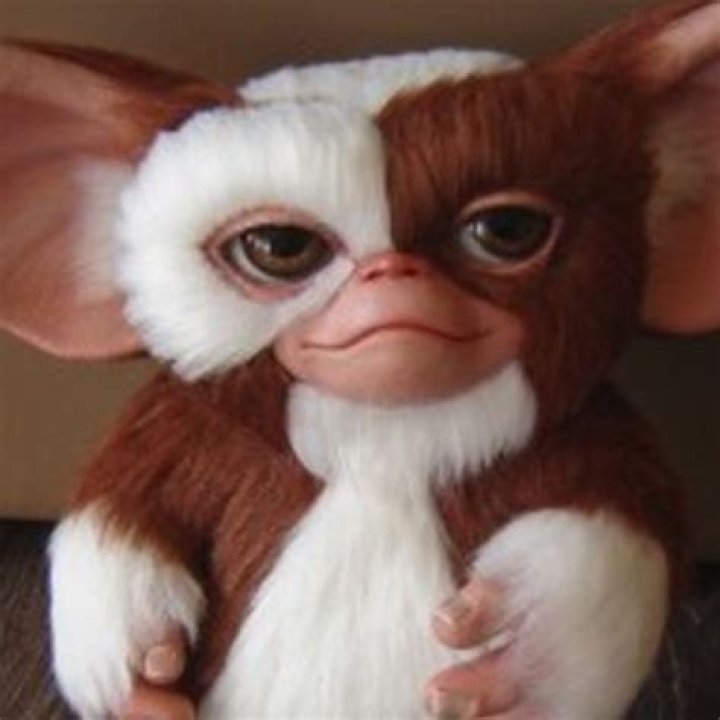 Gizmo from Gremlins