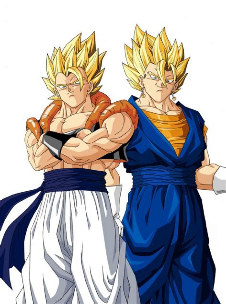 Gogeta and Vegito dragon ball
