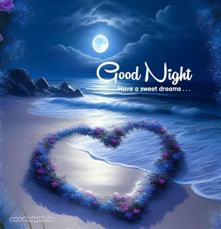 Good Night Good Night Pictures