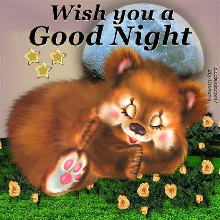 Good Night Pictures, Photos, and Images for Facebook, Tumblr, Pinterest