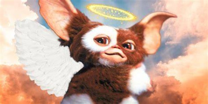 Gremlins - Gizmo