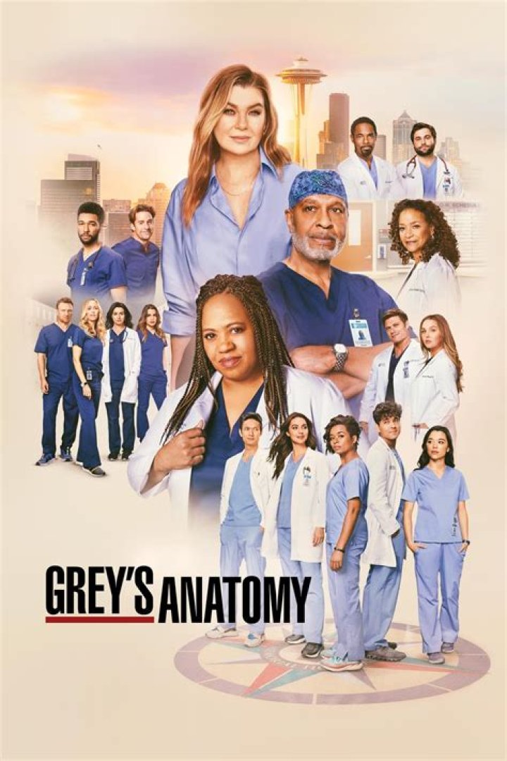 Grey's Anatomy Season 20 Bringing Back One Half Of A Divisive Couple