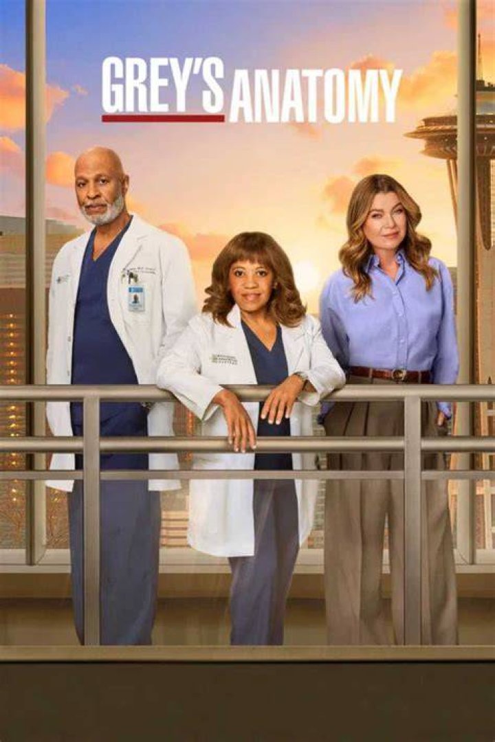 Grey&rsquo;s Anatomy has been running for 19 seasons. Photo / Supplied
