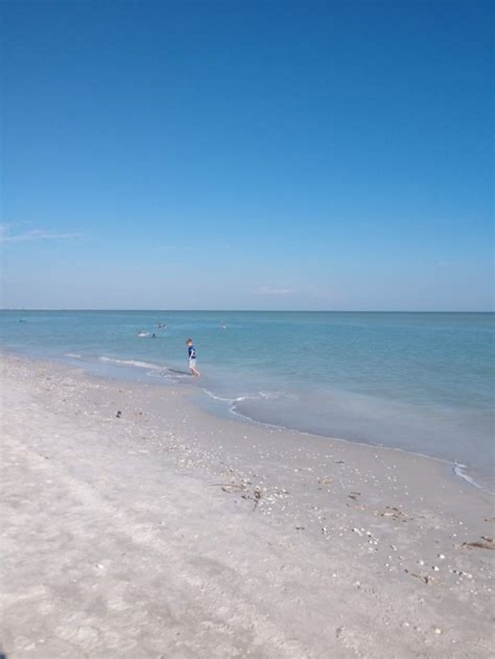 Gulfside City Park Beach (Angliers Beach) in Sanibel, FL (2020 Photos