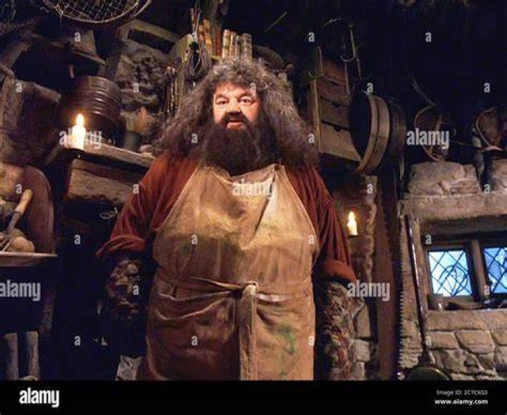 Hagrid in Harry Potter and the Deathly Hallows Part 2