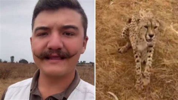 Haibo: Talented Man Stops Cheetah in its Tracks in a Video That’s Going Viral