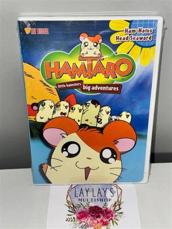 Hamtaro DVD STORE