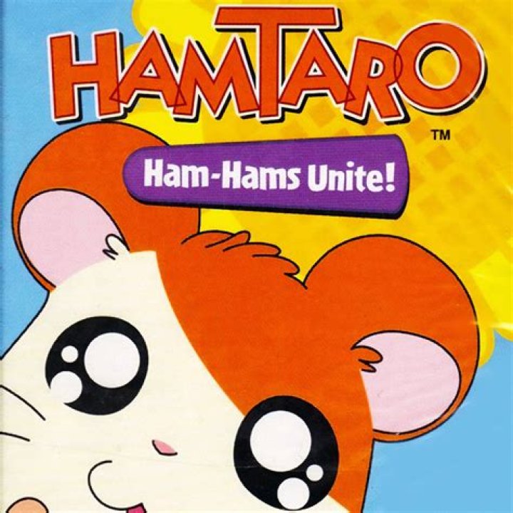 Hamtaro The Hamtaro Wiki Fandom