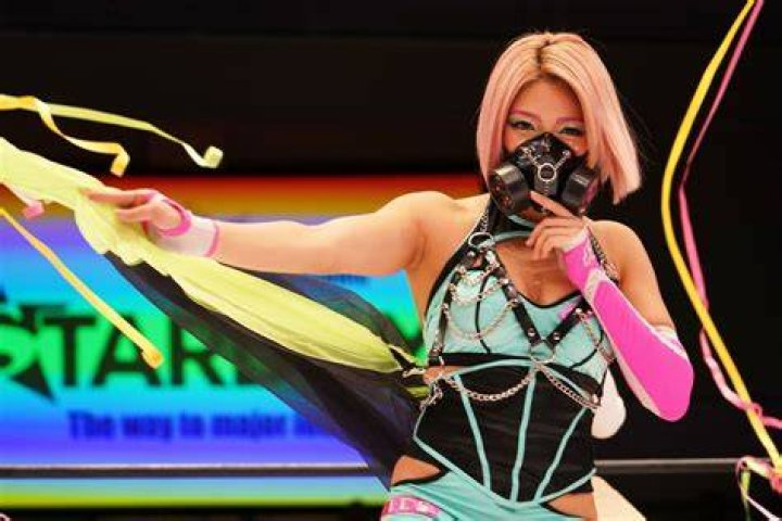Hana Kimura Dead At 22