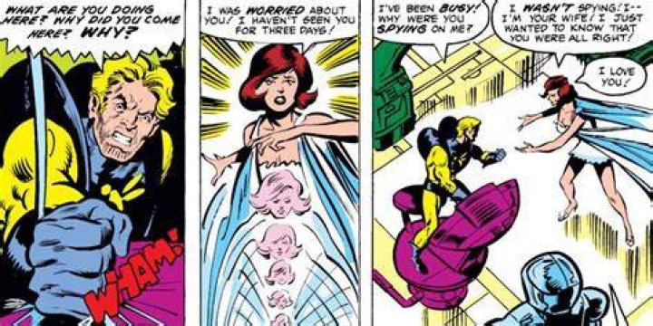 Hank Pym yelling at Wasp.