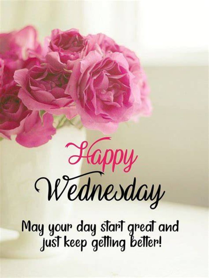 Happy Wednesday Quotes with Pink Roses