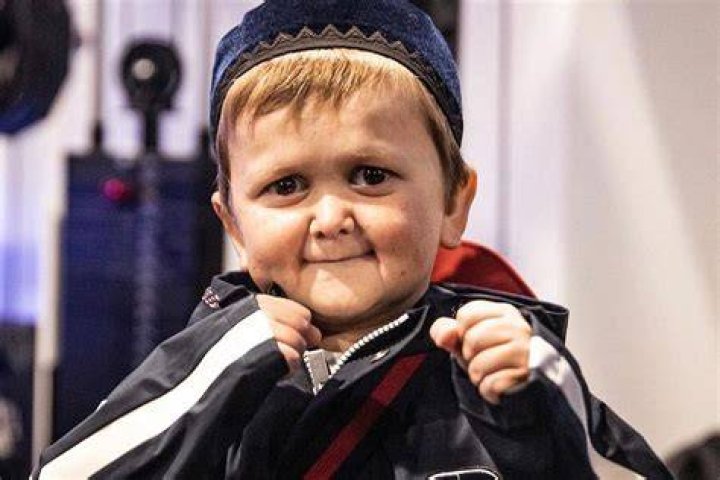 Hasbulla Net Worth 2023 How Is Mini Khabib's Net Worth Invested?