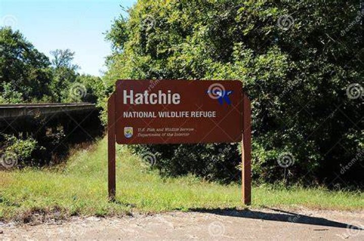 Hatchie National Wildlife Refuge, Haywood, Tennessee. Editorial Stock