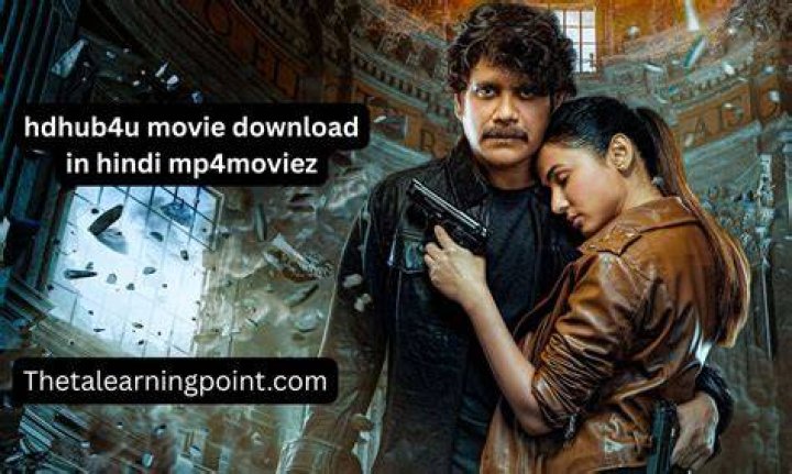 HDHub4u Download All BollyWood & HollyWood Movies