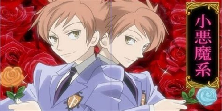 Hikaru and Kaoru Hitachiin back to back Ouran High school host club