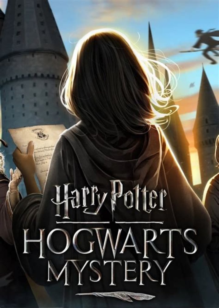 Hogwarts mystery year one