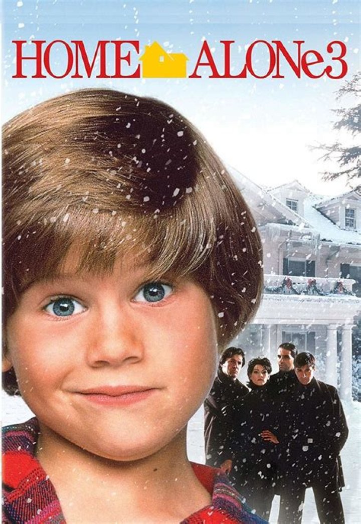 Home Alone 3: Lost in Walt Disney World (1990's)