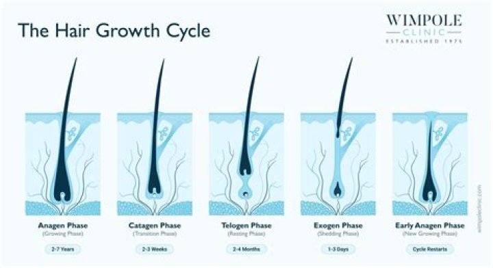 How Long Does It Take To Get A Balayage Hair Treatment?
