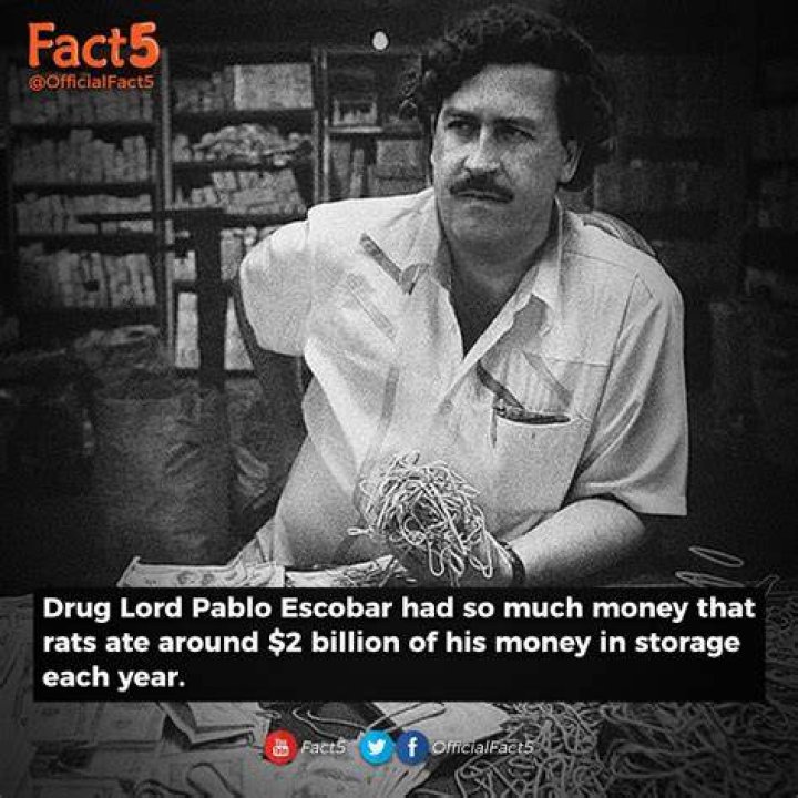 How Much Did Pablo Escobar Make In A Day? A Deep Dive Into His Earnings