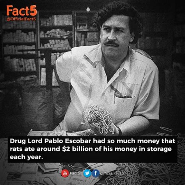 How Much Money Did Pablo Escobar Make Per Day?