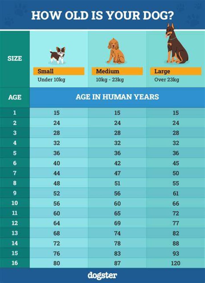 How Old Are Each of the Kardashian Family Members?