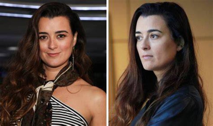 How Old Is Cote De Pablo's Daughter Tali?