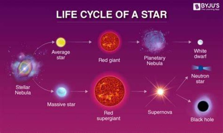 How Old Is Terry Farrell? A Comprehensive Look At The Life Of The Star