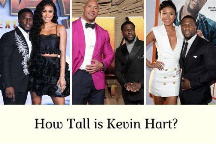 How Tall Is Kevin Hart? Understanding The Height Of The Popular Comedian And Actor