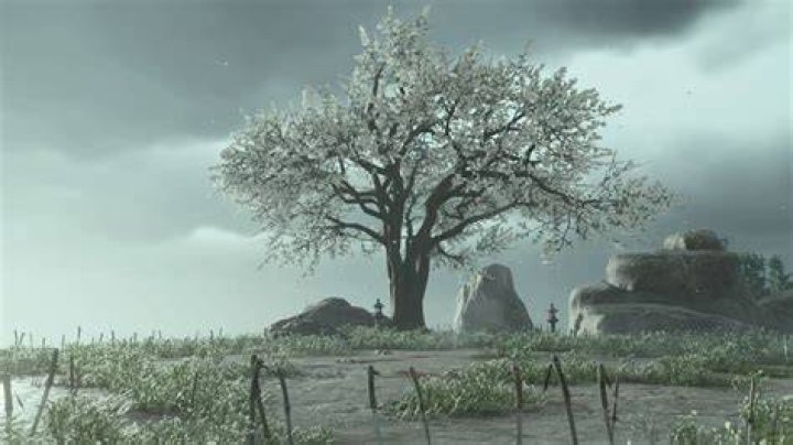 How to Find The White Leafed Tree Location