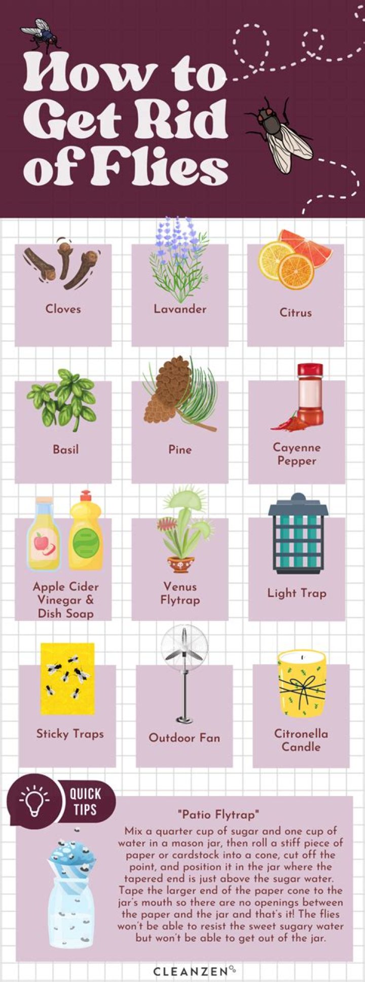 How to get rid of ants